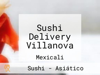 Sushi Delivery Villanova