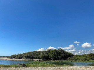 Playita