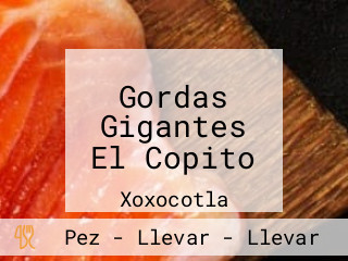 Gordas Gigantes El Copito