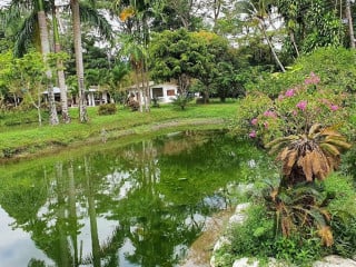 Pescadería Los Lagos