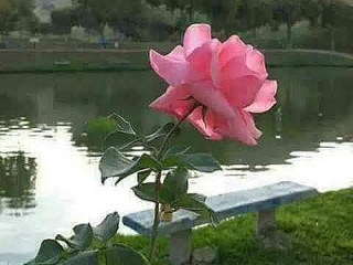 El Palacio Del Kumis