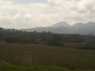 Mezcal De Etucuaro