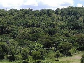 Mirador De Guisa