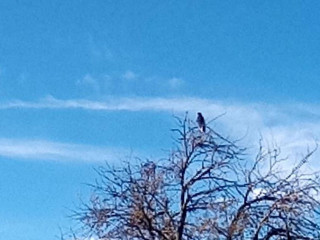 Xoletongo El Sabor Del Agave