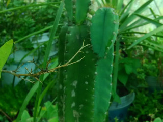 La Casa De Los Abuelos