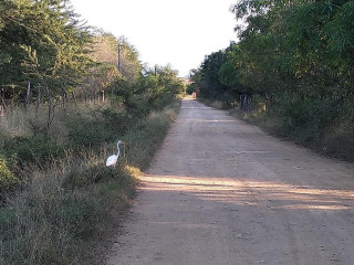 La Cabaña Escondida