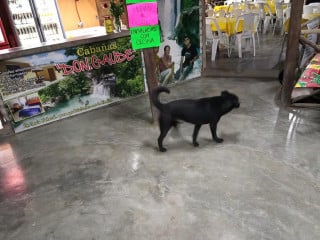 Restauran Bohio De Las Acamallas