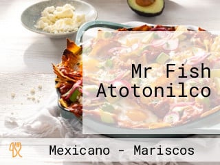 Mr Fish Atotonilco