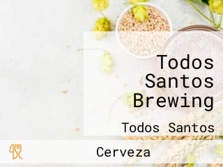 Todos Santos Brewing