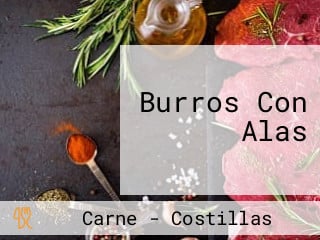 Burros Con Alas