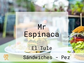 Mr Espinaca