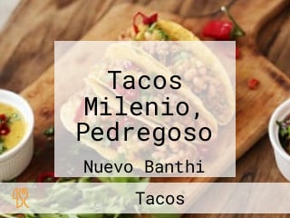 Tacos Milenio, Pedregoso