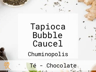 Tapioca Bubble Caucel