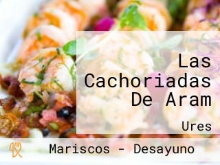 Las Cachoriadas De Aram