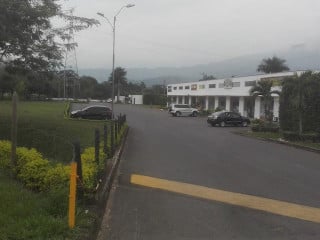 Firewood Pizza Grill