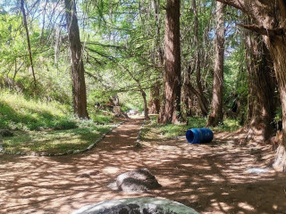 Gorditas Doña Aleja Sucursal