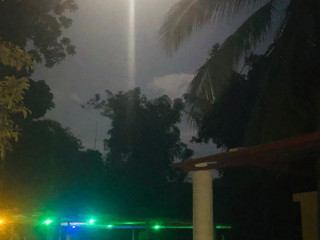 Coctelería Tasty Wings