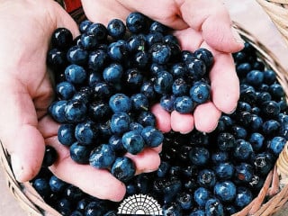 Finca Santa Maria 3 Arroyos