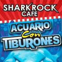 Shark Rock Cafe