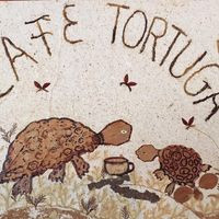 CafÉ Tortuga Tena