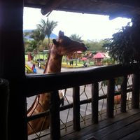 Zoologico Jaime Duque