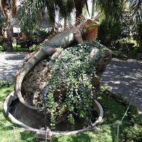 La Iguana De Piedra Ajijic Jalisco