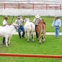 Plaza De Ferias Socorro