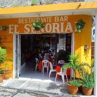 Restaurante Bar Turistico El SeÑorial