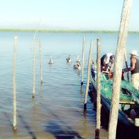 La Isla Del Bosque, Escuinapa, Sinaloa.