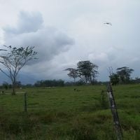 Villavicencio Cumaral