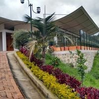 Jenesano Alta Gracia