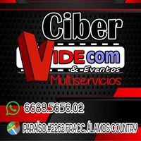 Ciber Videcom Servicios