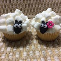 Cupcakes And Cream Jennifer Sosa