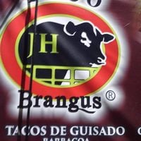 Taco Jh Brangus