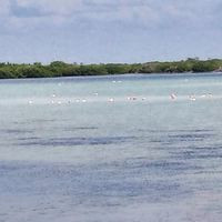 Playita De Telchac Puerto