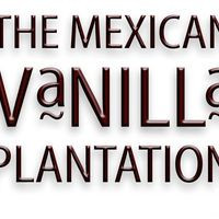 The Mexican Vanilla Plantation