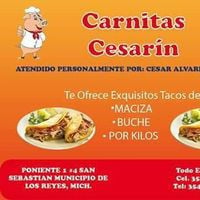 Carnitas “cesarin” Y Salon Campestre La Parota