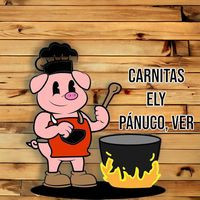 Carnitas Elyy Panuco,ver