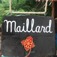 Maillard Street Food