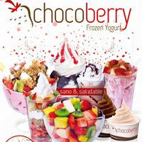 Chocoberry Frozen Yogurt