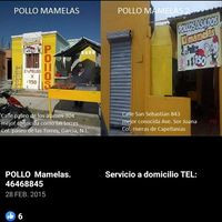 Pollo Mamelas. Servicio A Domicilio Tel: 46468845