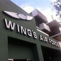 Air Force Wings