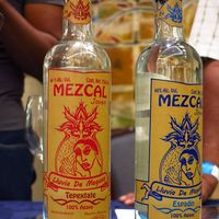 Mezcal Lluvia De Maguey