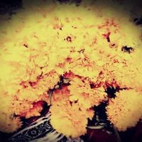 Zona Centro, Pueblo Viejo