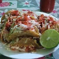 Tacos Alex Sabinas