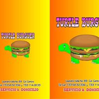 Turtle Burger