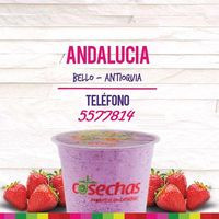 Cosechas Bello Andalucia