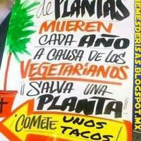 La Esencia Del Taco