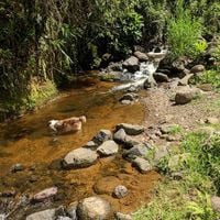 Jardin Antioquia