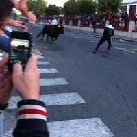 Fiestas Viterbo